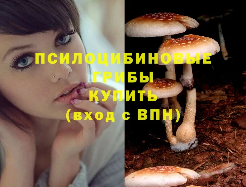 Псилоцибиновые грибы Magic Shrooms  Уфа 